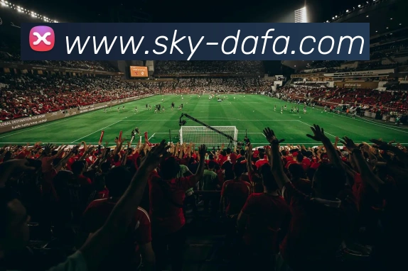 大发彩票APP 体育赛事宣传图